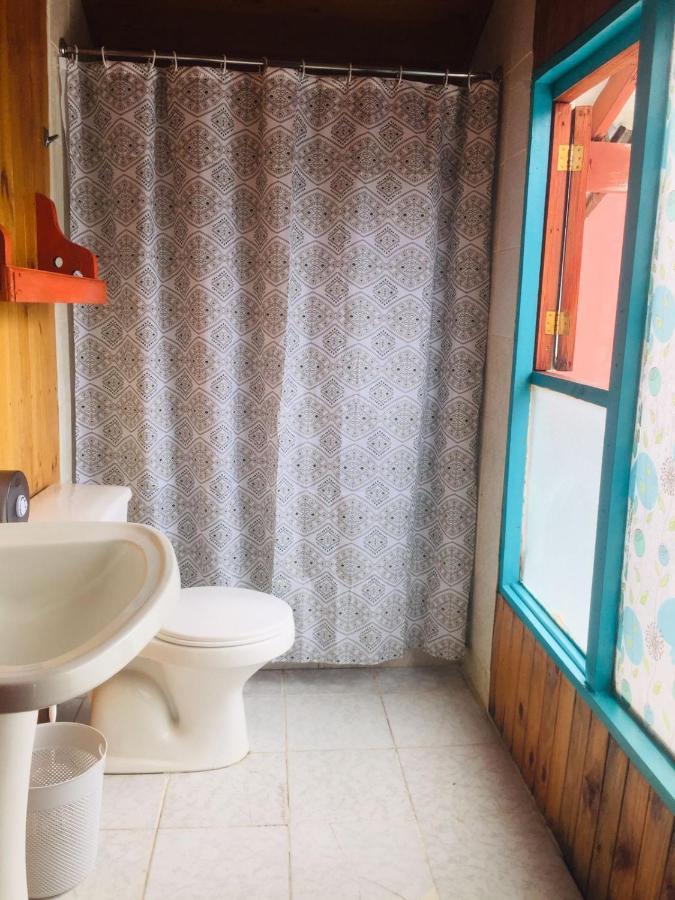 Hostel Raiz Pucón Екстериор снимка