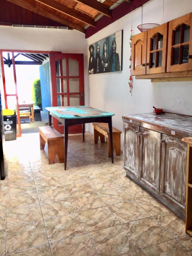 Hostel Raiz Pucón Екстериор снимка