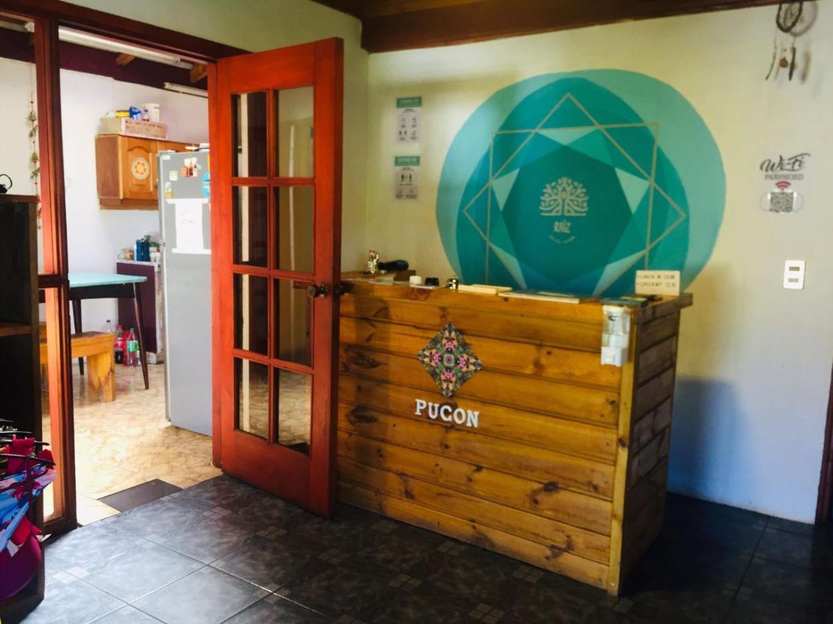 Hostel Raiz Pucón Екстериор снимка