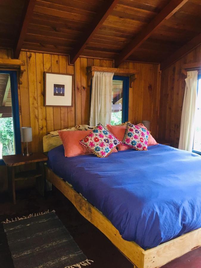 Hostel Raiz Pucón Екстериор снимка