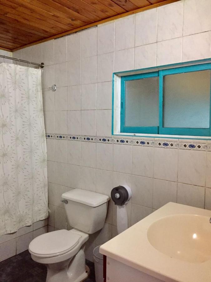 Hostel Raiz Pucón Екстериор снимка